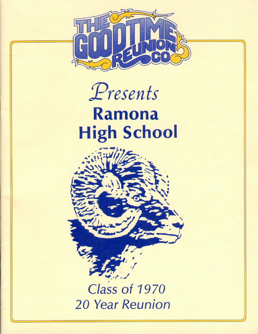20 Year Reunion Cover